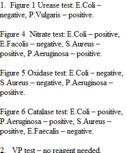 Group Work - More Biochemical Tests